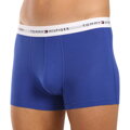 UM02761 pánske boxerky TOMMY HILFIGER   0T7